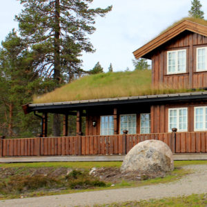 Bilde som viser hyttefasade med villmarkspanel fra Skjåk