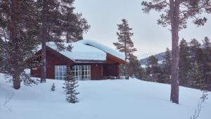 fjuken kledning brukt på hytte i Skjåk-nærbilde