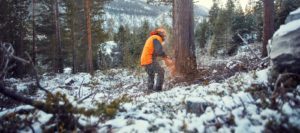 Skjåk Trelast et sagbruk med tradisjoner