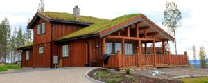 villmarkspanel-fra-skjåk-brukt-på-hytte-fra-rena-byggsystem