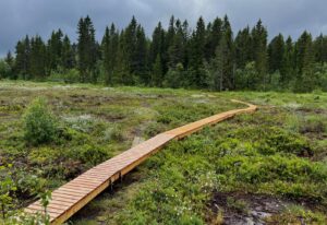 Klopper over Lianmyra der det er brukt malmfuru fra Skjåk