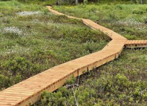 Klopper over Lianmyra der det er brukt malmfuru fra Skjåk