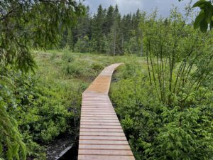 Klopper over Lianmyra der det er brukt malmfuru fra Skjåk